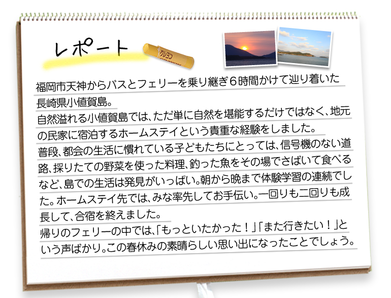 レポート